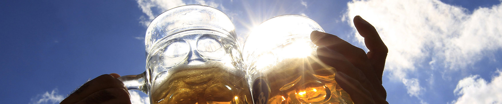 Revellers toast with beer during the 179th Oktoberfest in Munich September 28, 2012. Millions of beer drinkers from around the world will come to the Bavarian capital for the 179th Oktoberfest, which runs until October 7, 2012. REUTERS/Michaela Rehle (GERMANY - Tags: SOCIETY ENTERTAINMENT)
